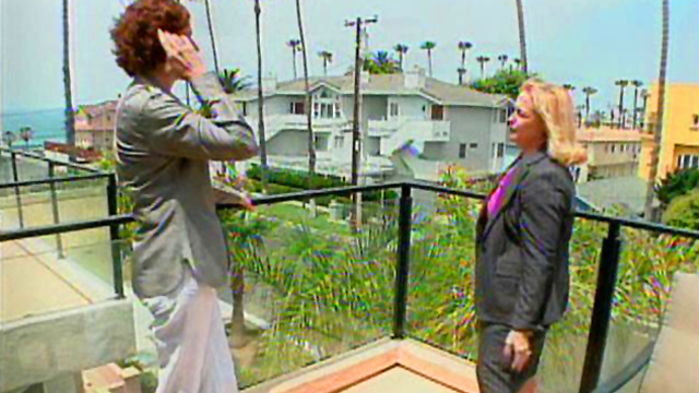 Housesitter