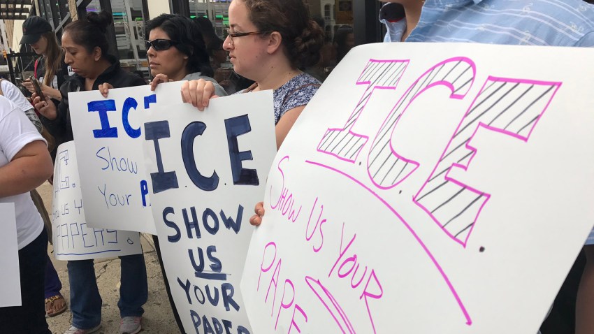 ICE Demonstrators