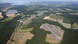 Jeanine Murphy - CEI_Amazon Solar Farm US East_HiRes