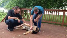 Keith and David pet dog