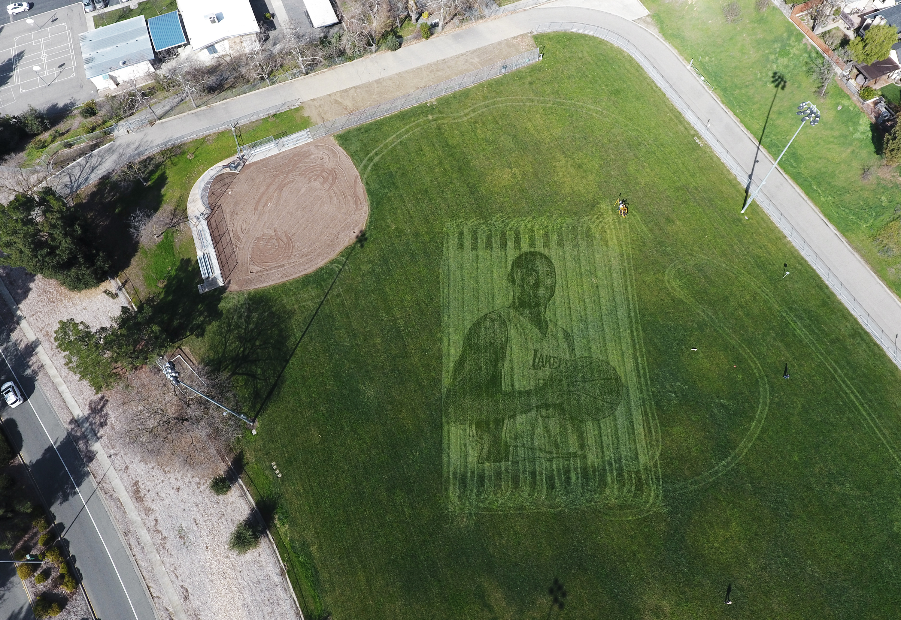 Stunning Grass Art Pays Tribute to Lakers Legend Kobe Bryant – NBC10 ...