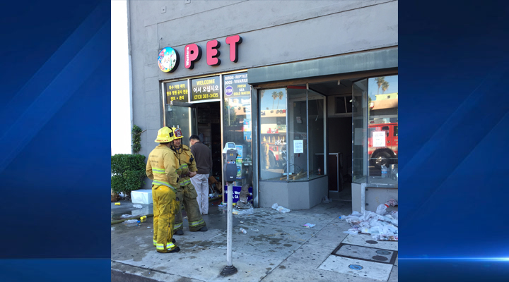 1 Dog, Over 100 Fish and Birds Dead in Koreatown Pet Store ...