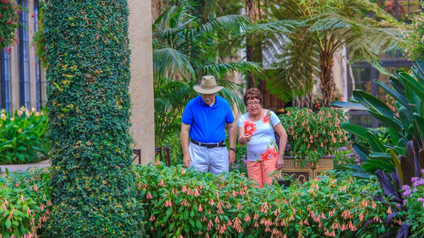 Longwood Gardens