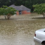 Louisiana Flooding McClarty Front Yard