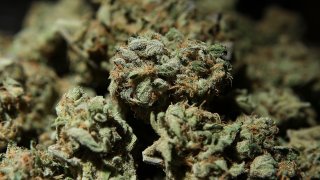 A bowl of medicinal marijuana is displayed in a booth at The International Cannabis and Hemp Expo