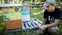 Exchange Millennial Beekeepers