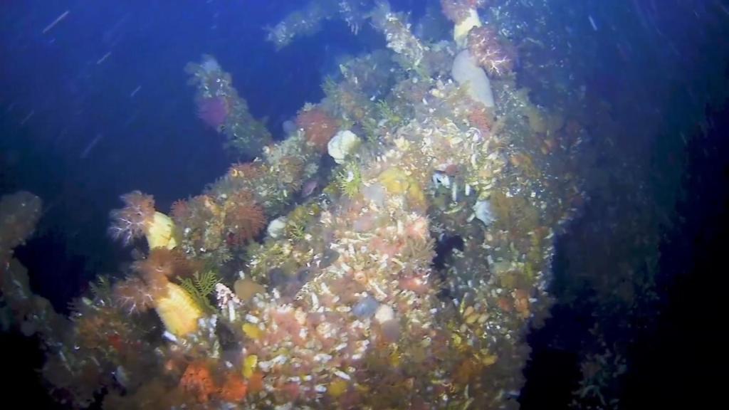 Https Www Nbcphiladelphia Com News Local First Alert Weather Nice Lead In To The Week August 26 Philadelphia 57818 Https Media Nbcphiladelphia Com 2019 09 Controversia Por Entrega De Comida En Las Escuelas Jpg Fit 1024 2c576 Nbc10 First