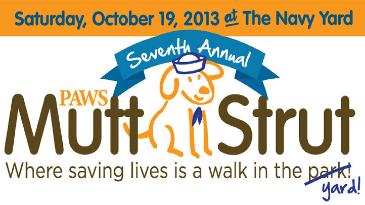 7th Annual PAWS Mutt Strut NBC10 Philadelphia
