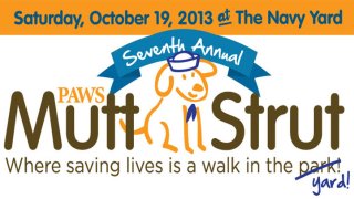 MuttStrut