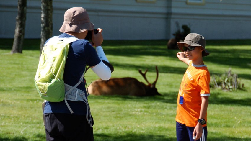 National Parks-Misbehaving Tourists