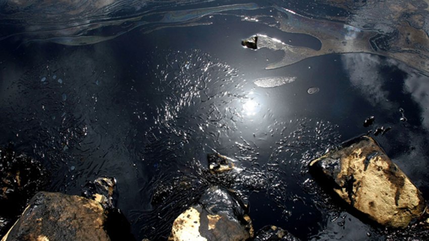 Oil