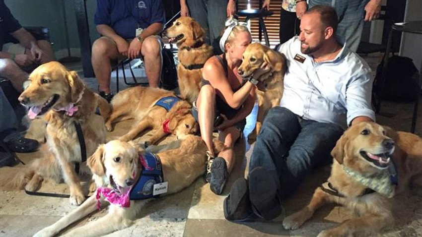 OrlandoTherapyDogs