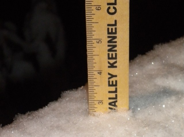 PHI snow ruler