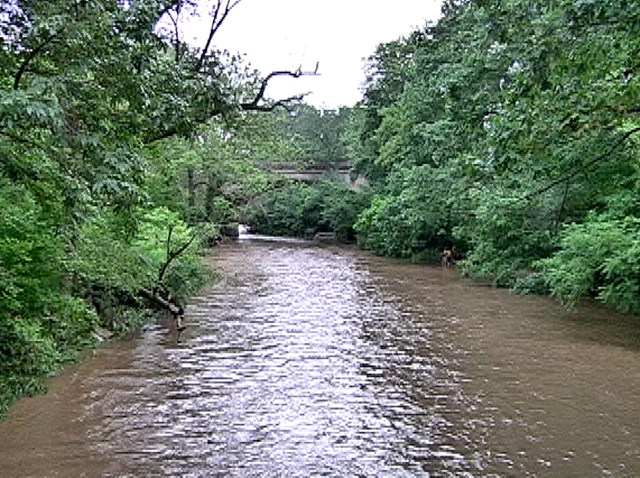 Pennypack Creek Drowning - Creek