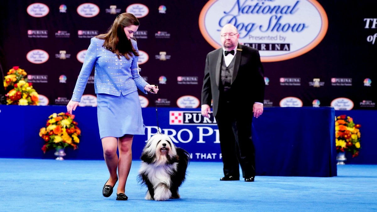 2021 National Dog Show: History, Time, New Breeds, How to Watch and