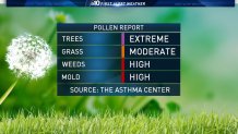 Pollen Count Extreme Lead