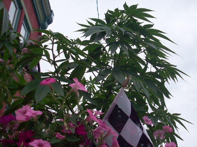KNTV_000000020209014_1200x675_832256579585.jpg