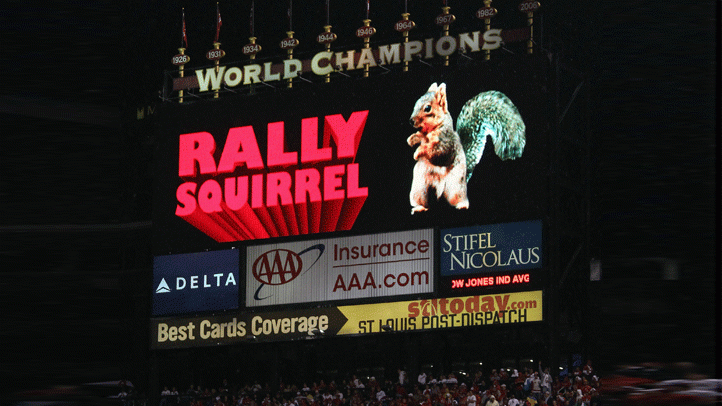 RALLY-SQUIRREL-BILLBOARD