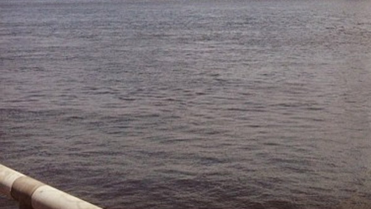 New Jersey Teen Saves Drowning Boy from Delaware River