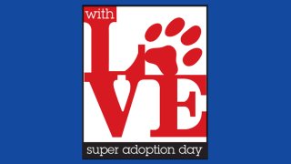 SUPER-ADOPTION-2013