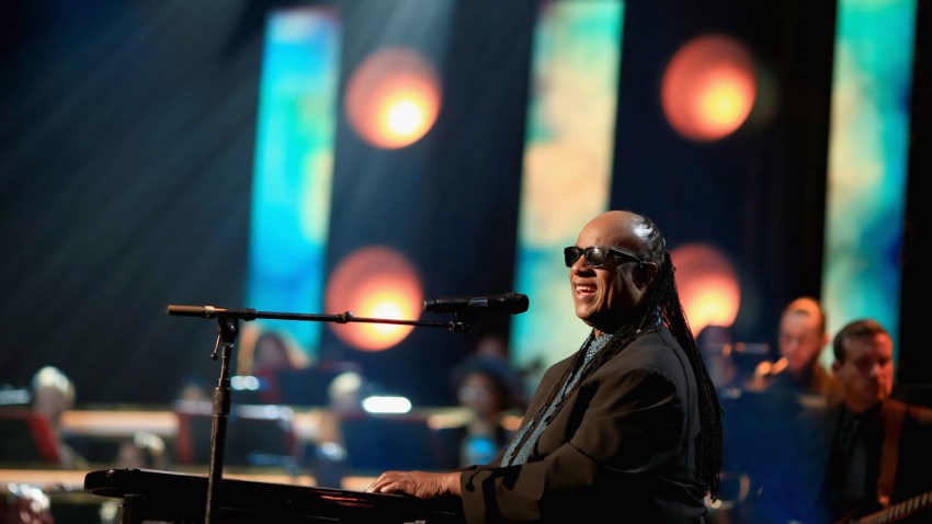 StevieWonder1