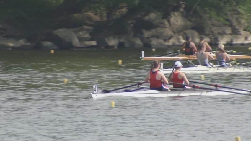 rowers on river