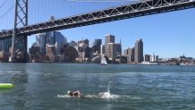 Swimmer bay bridge