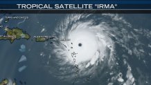 Tammie-Irma-Blog-1