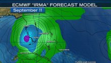 Tammie-Irma-Blog-3