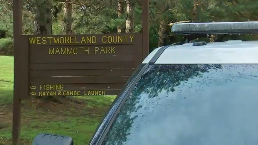 Teens Struck Branch Lightning Mammouth Park