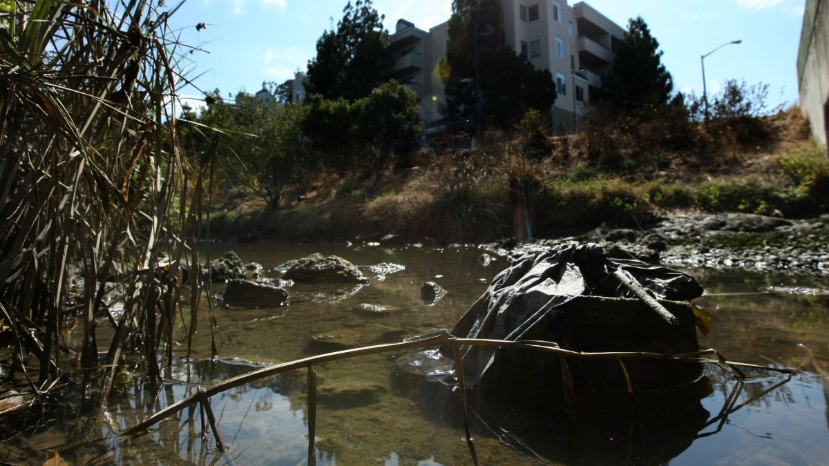 Trump Administration Accuses California of Water Pollution NBC10