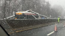 Tree on SEPTA Bus