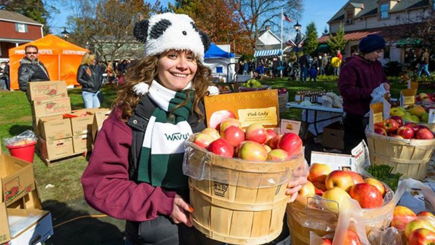 USE apple festival peddlers village
