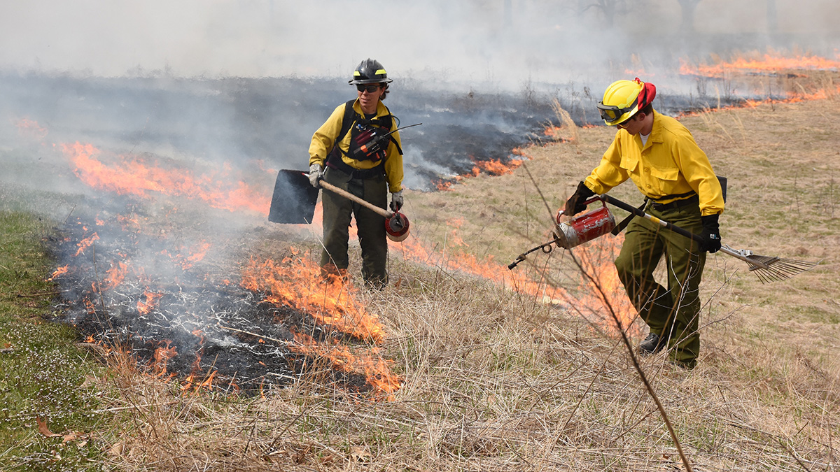 Prescribed Fires Burn At Valley Forge National Park – NBC10 Philadelphia