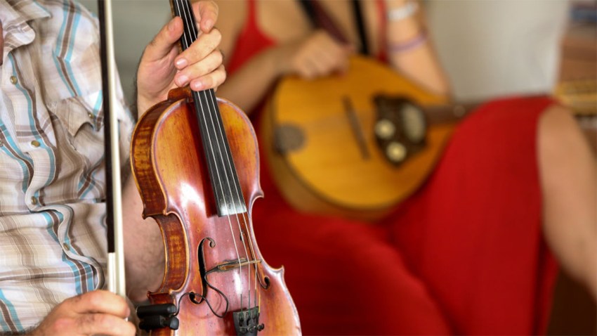 Violin Photo Cropped