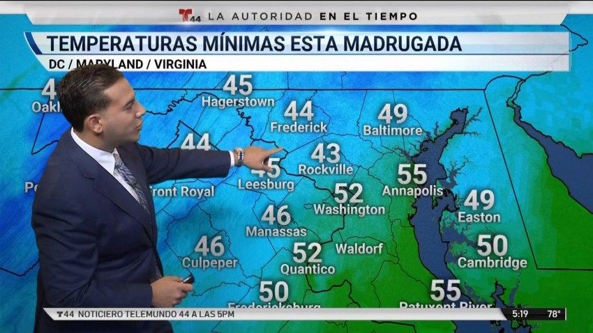 TV Fox Ingraham