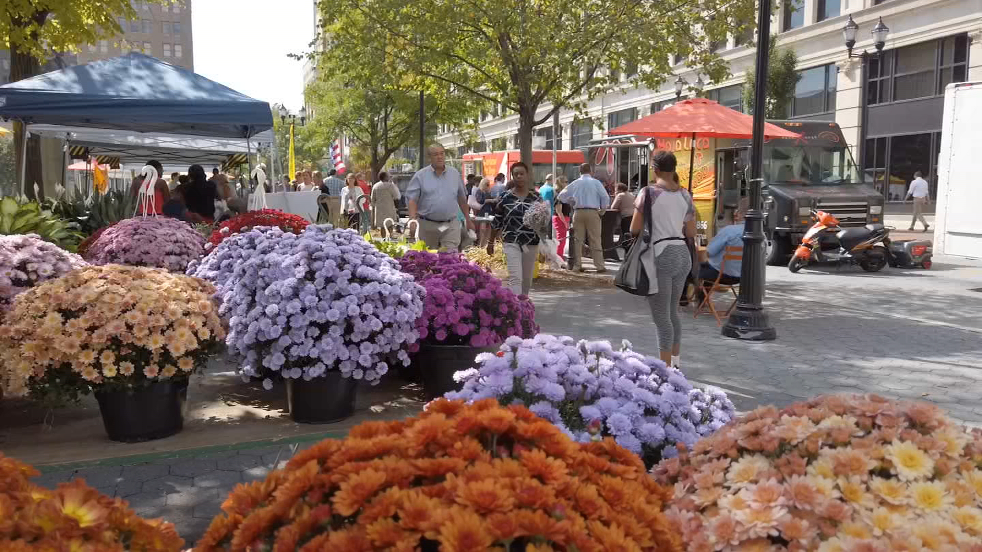 The Wilmington Flower Market is back! Here's what you need to know
