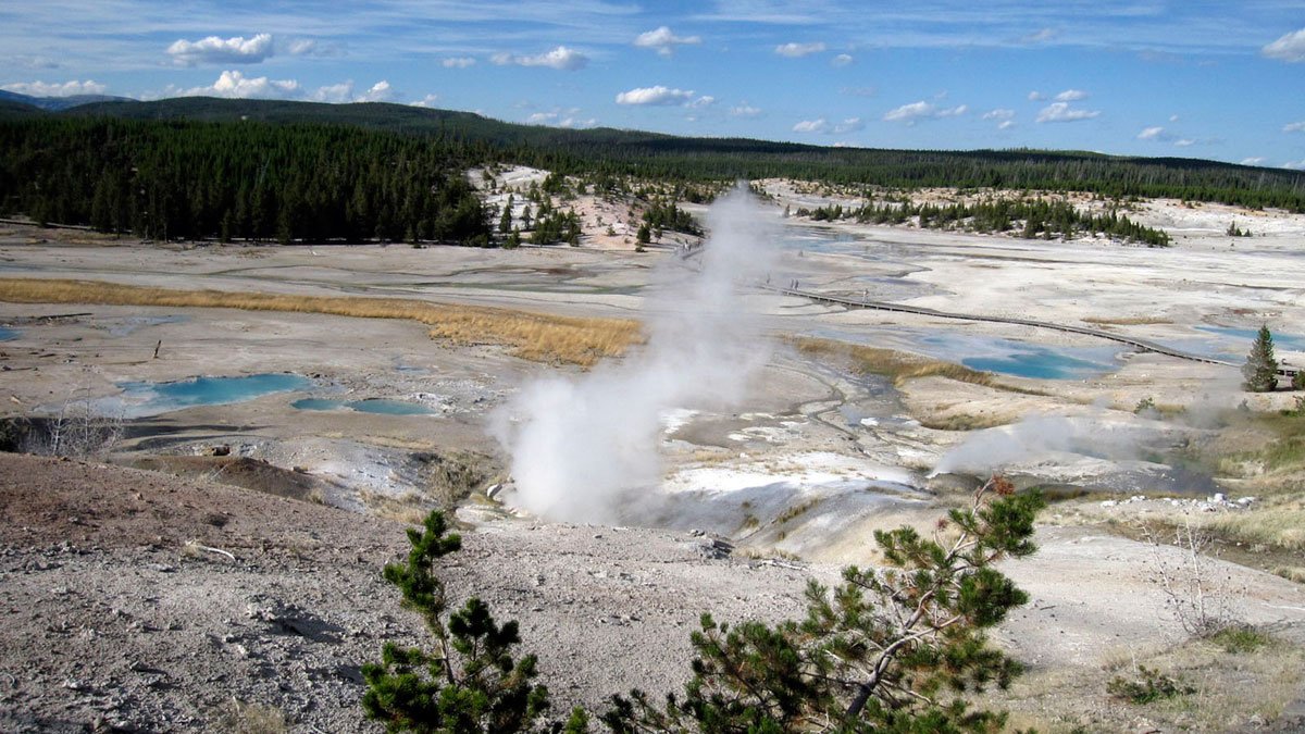 Yellowstone: Woman in Critical Condition After Trying to Save Dog From Hot Spring – NBC10 Philadelphia - Vimarsana News