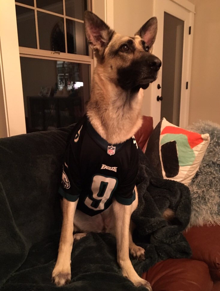 Eagles fans swarm Lincoln Financial Field in dog masks for NFC