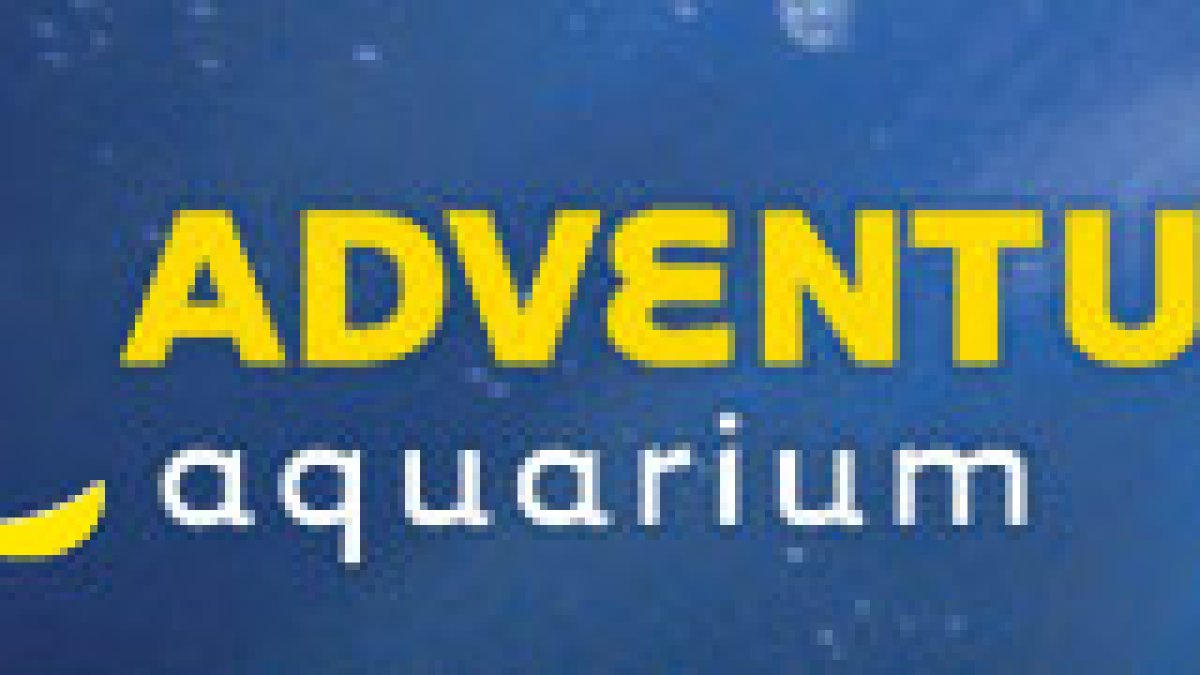 NBC 10 Day at the Aquarium NBC10 Philadelphia