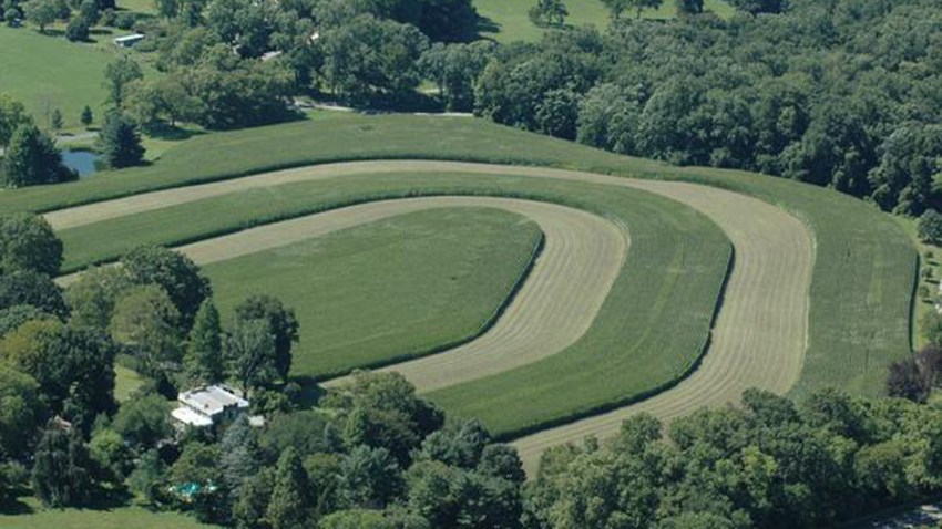 aerial view of farm