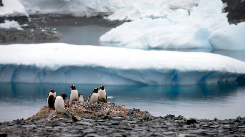 Airbnb Antarctic Sabbatical