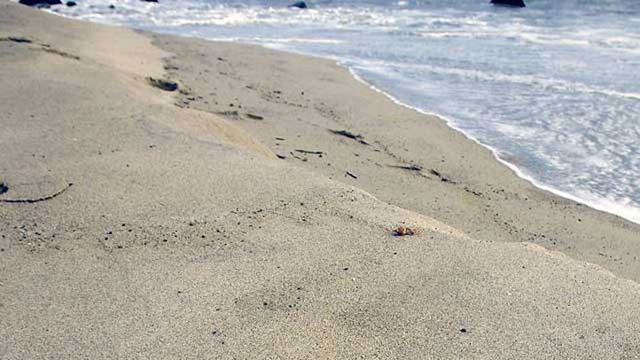 Delaware Man Dies During Escape the Cape Triathlon Event in Lower Township, Cape May County, NJ – NBC10 Philadelphia - Vimarsana News
