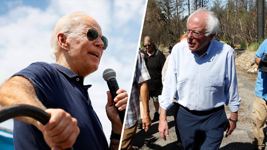 bidenbernieDiptych-(1)