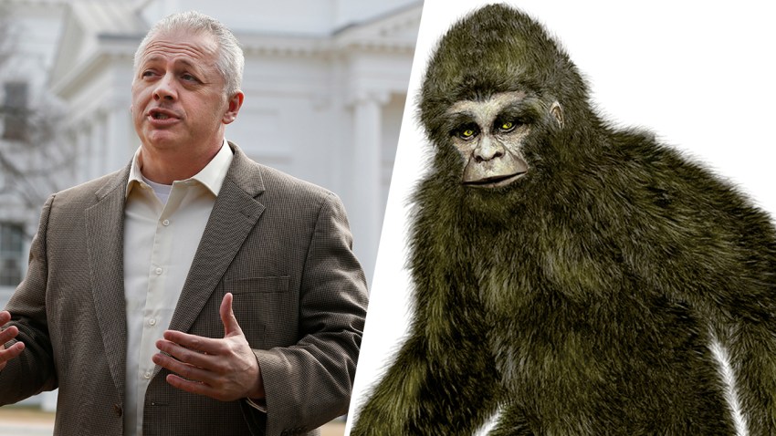 bigfoot-candidate