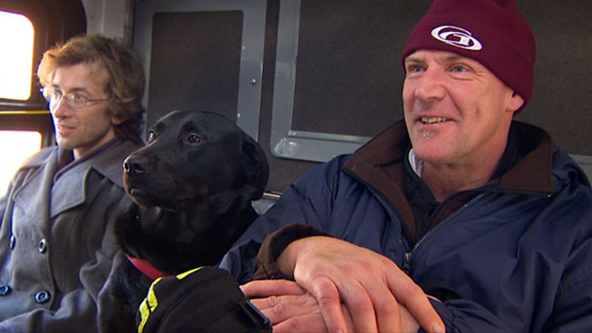 bus-riding-dog