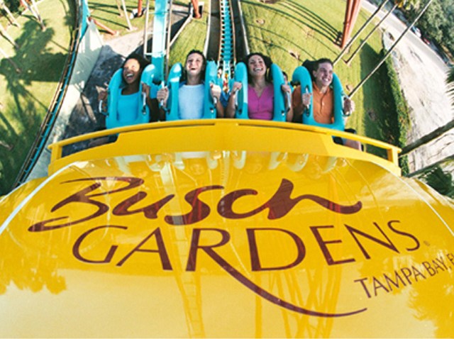 busch gardens