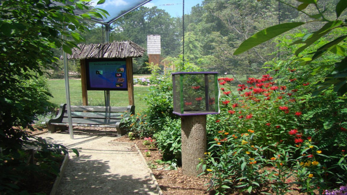 Spotlight! Butterfly House Opening NBC10 Philadelphia