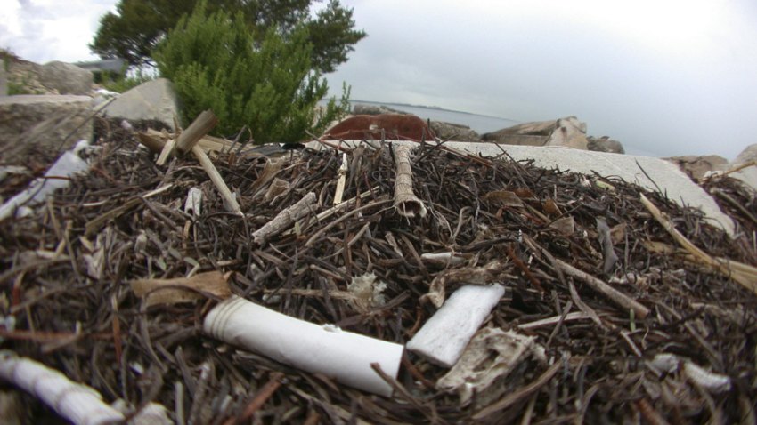 cigarette-butts1