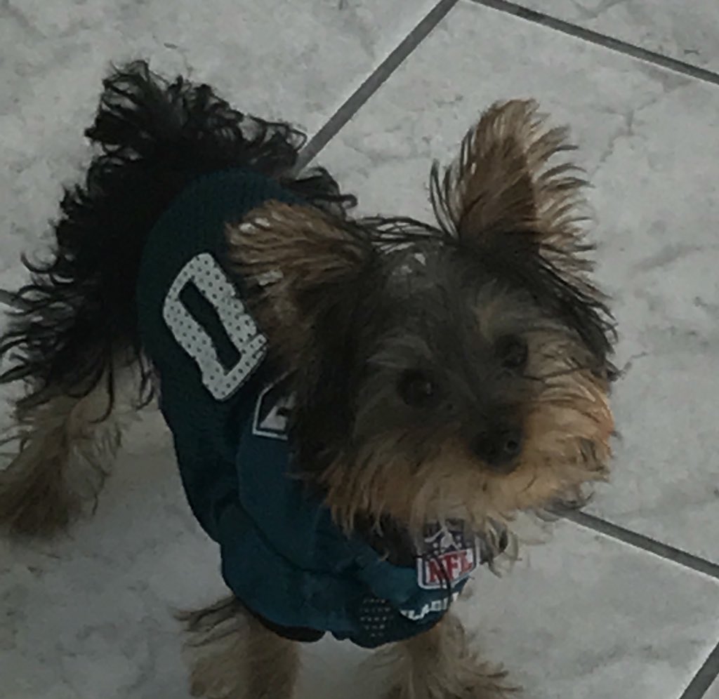 Eagles fans swarm Lincoln Financial Field in dog masks for NFC